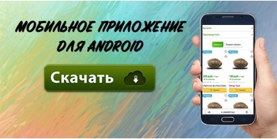 Приложение для Android
